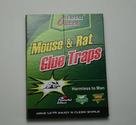 高效环保，厂家直销——义乌绿亚环保粘鼠胶系列产品