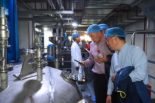 上海蜂花智能工厂投产，4亿元投资驱动产业升级与互联网销售新布局